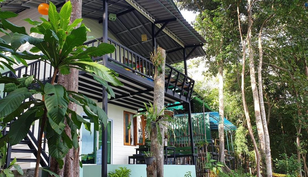Jeroen's Jungle View