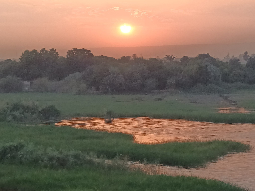 Abu Simbel Perfume Palace-Aswan 1必去景点