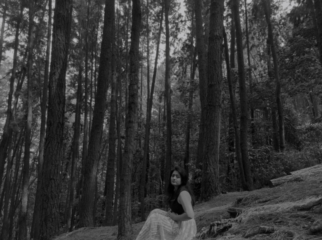 Kochi Taxi 24X7-柯钦必去景点