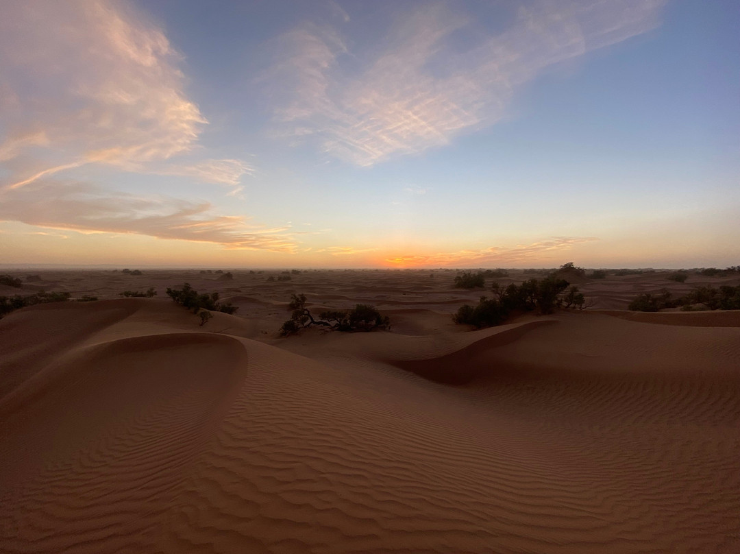 Desert Maroc Tours - Day Tours-扎古拉必去景点