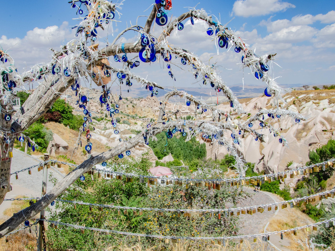 Evil Eye Tree-乌奇萨必去景点