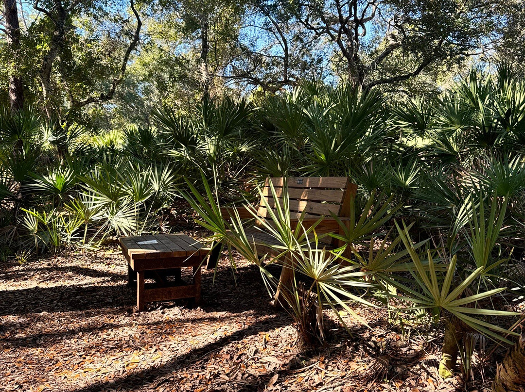 Brevard County Erna Nixon Park-墨尔本必去景点