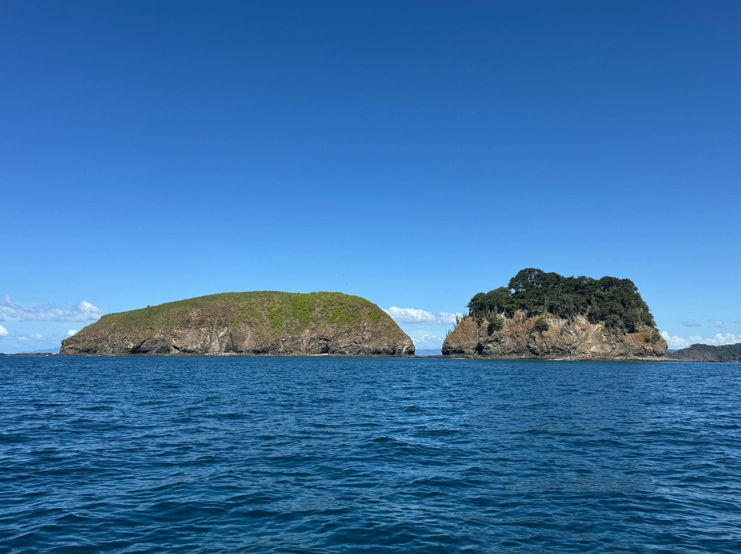 Marea Alta Ocean Adventures-Playas del Coco必去景点