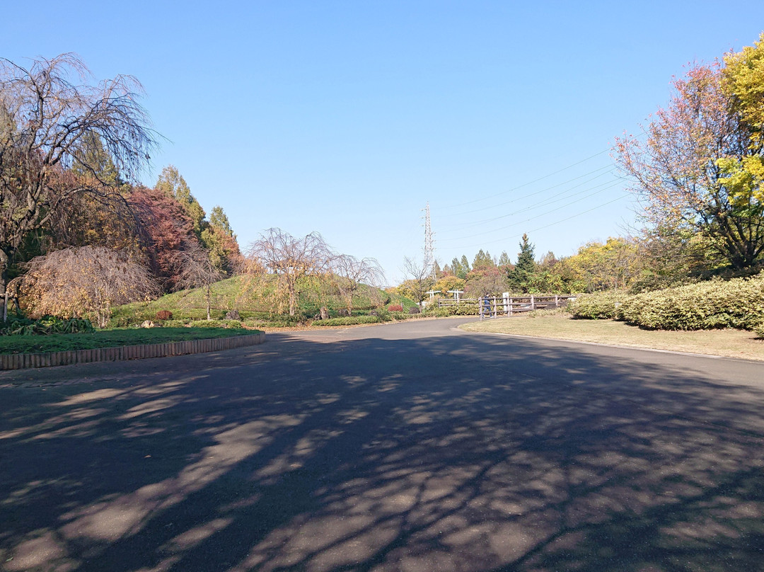 Omiya Hana no Oka Norin Park-埼玉市必去景点