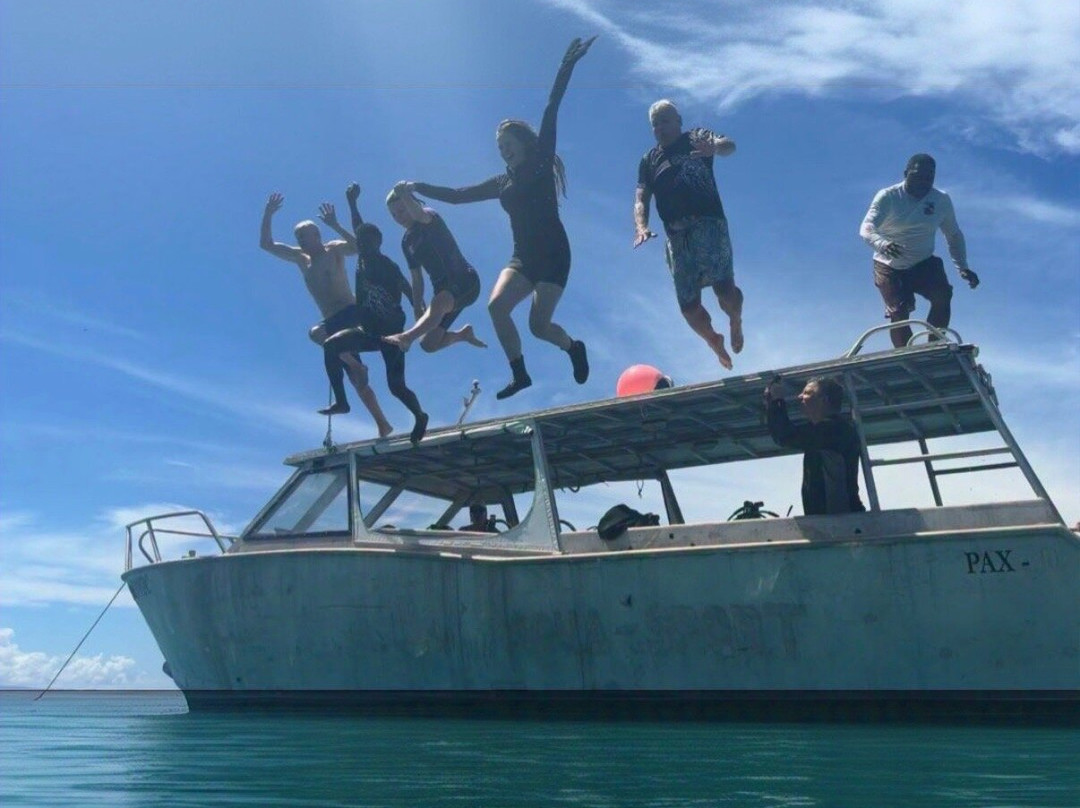 Dive Savusavu Fiji-萨武萨武必去景点