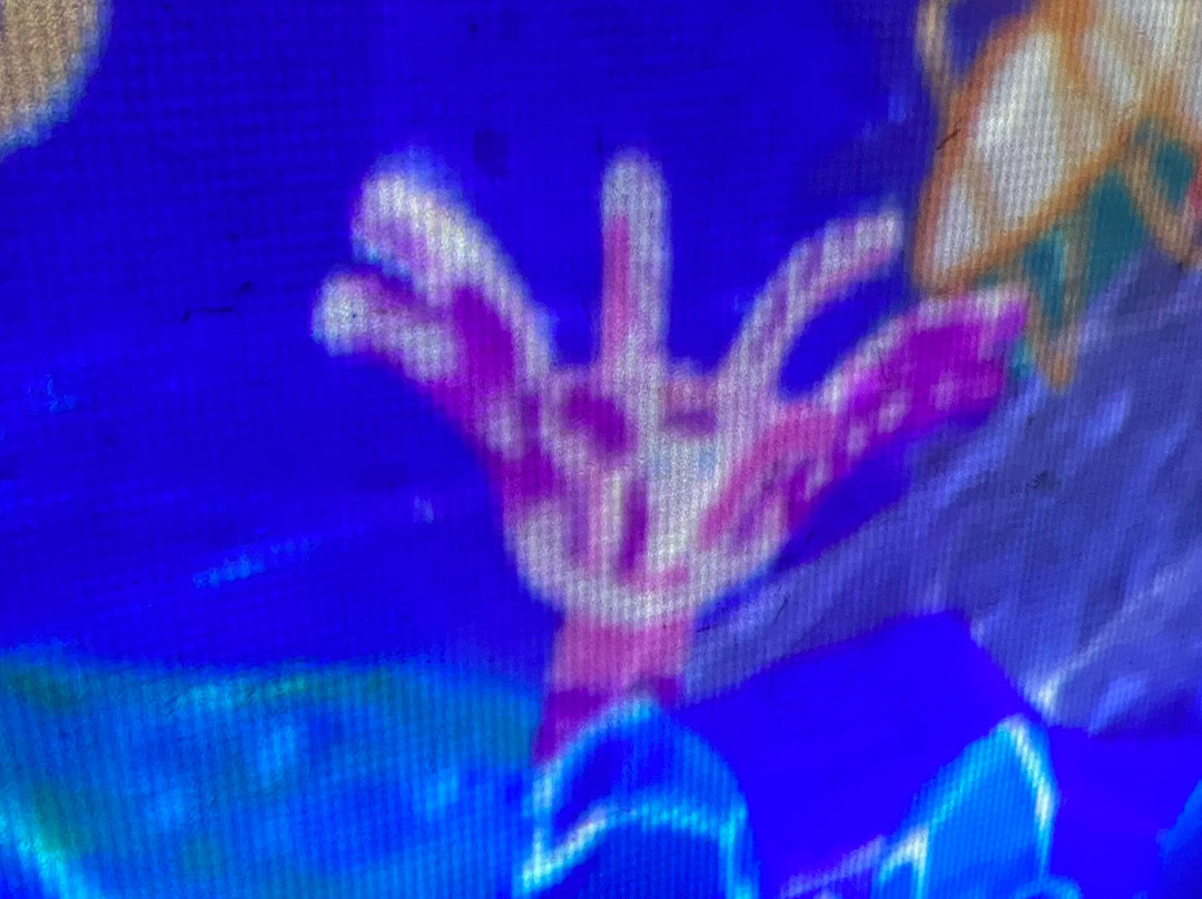 Teamlab Borderless Tokyo Azabudai Hills-港区必去景点