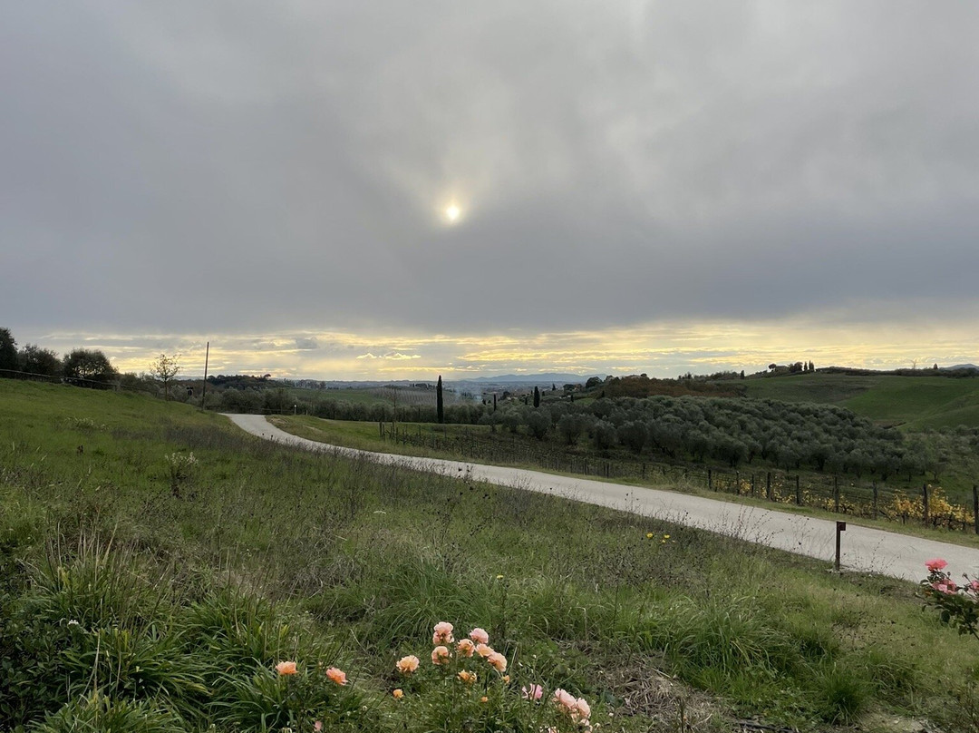 Villa Petriolo主图