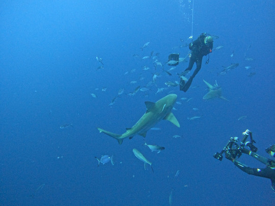 Emerald Charters-朱庇特必去景点