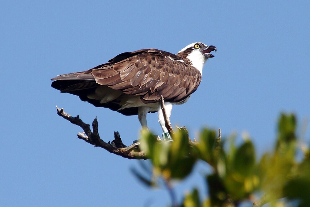Quick Point Nature Reserve-长船礁必去景点
