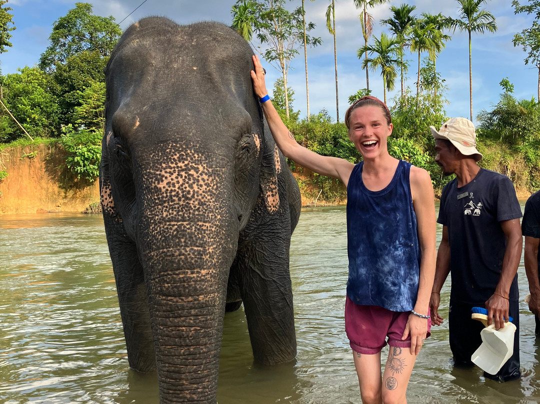 Khao Sok Elephant Sanctuary-拷索国家公园必去景点