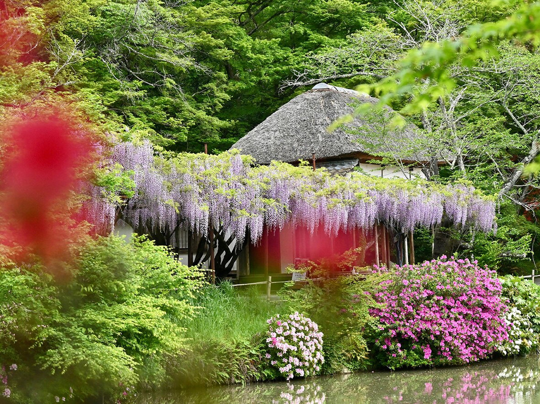 Mifuneyama Rakuen-武雄市必去景点