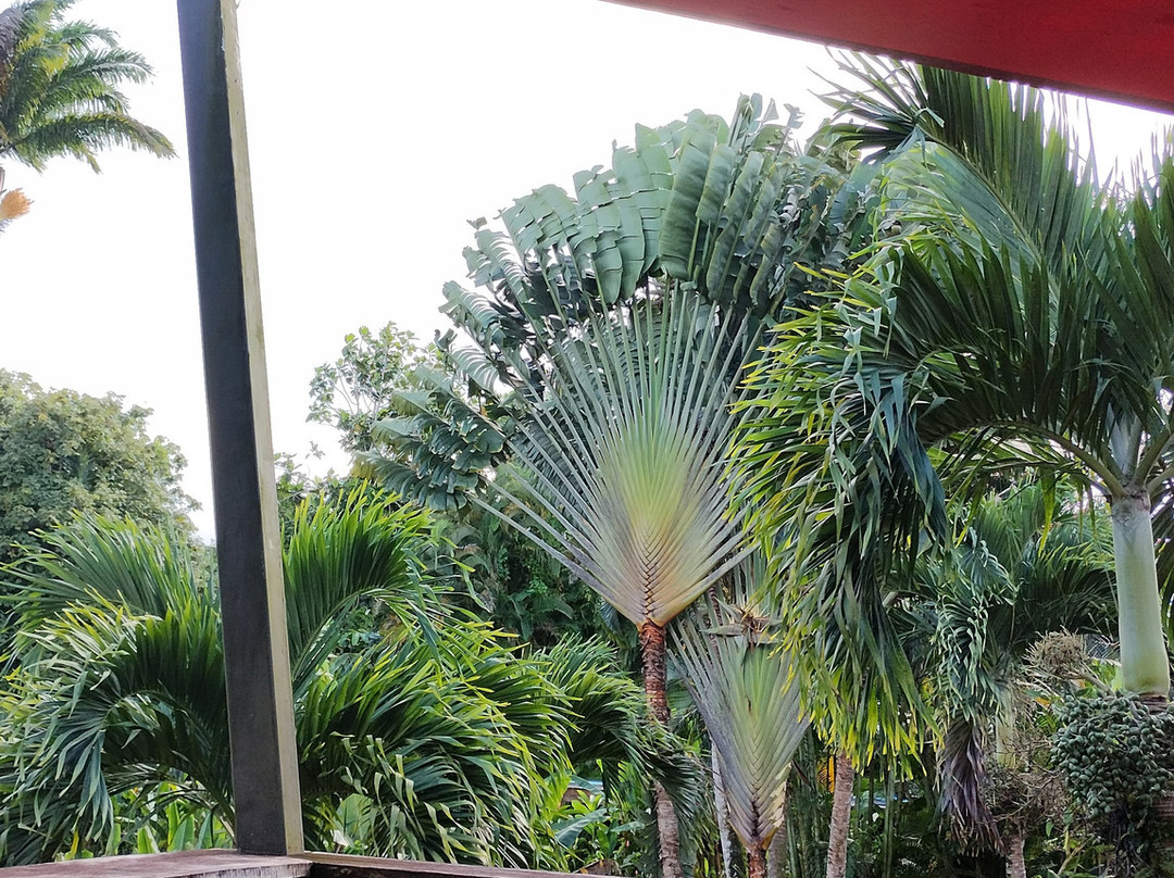 Les Bieres de la Lezarde-Petit-Bourg必去景点