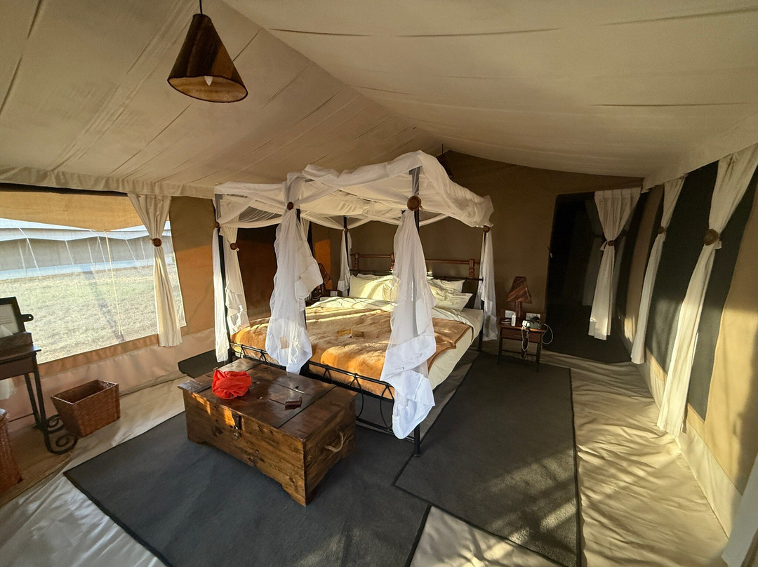 易捷旅游-一日游-阿鲁沙必去景点