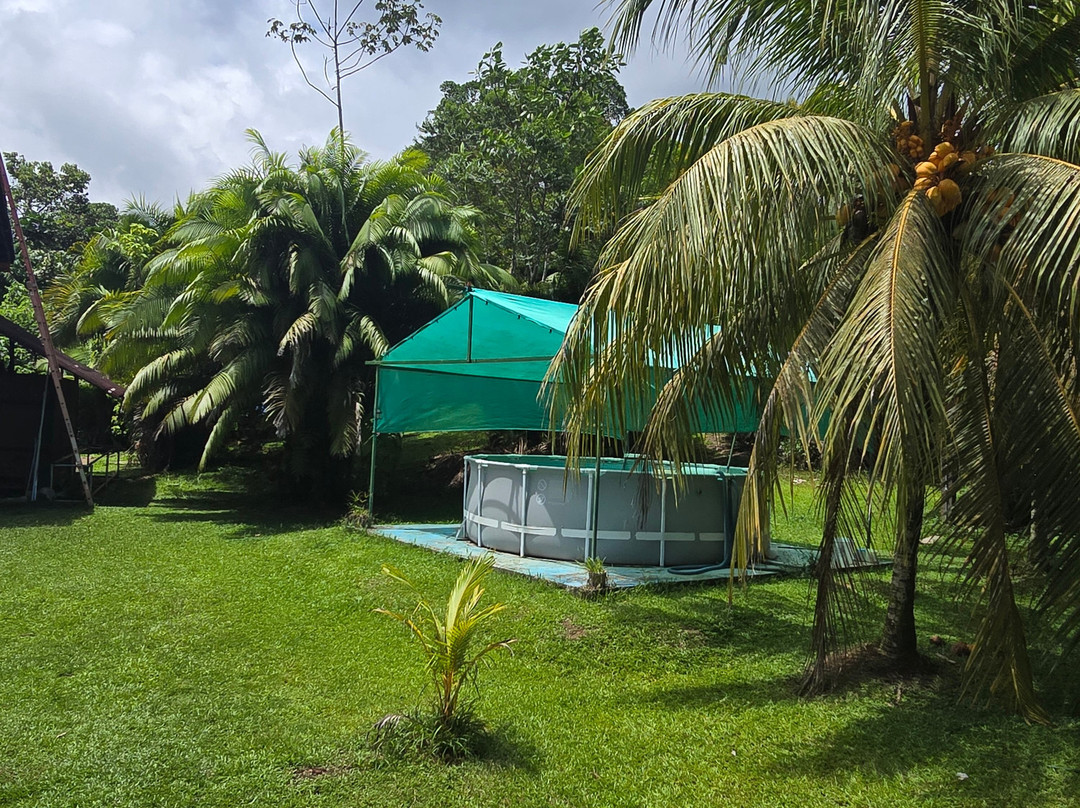 Amazon Experience-伊基托斯必去景点