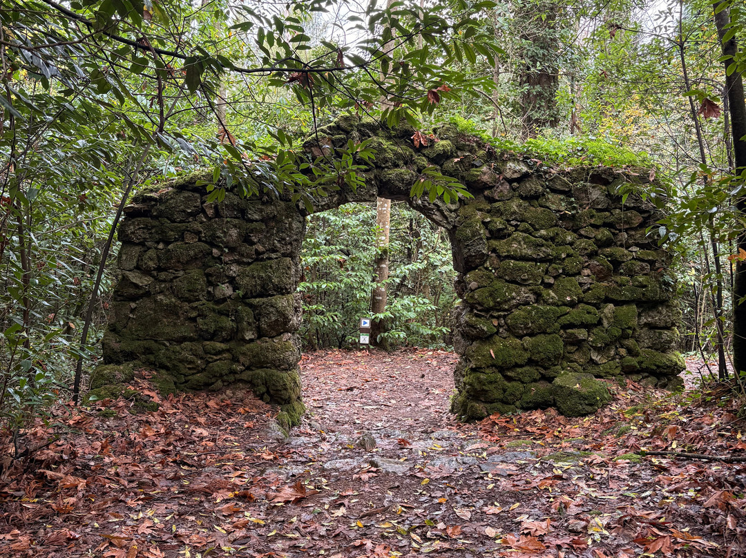 Mata Nacional do Bucaco-卢祖必去景点
