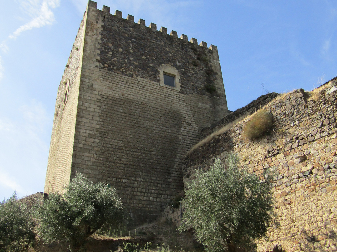 Castelo de Tomar-Tomar必去景点