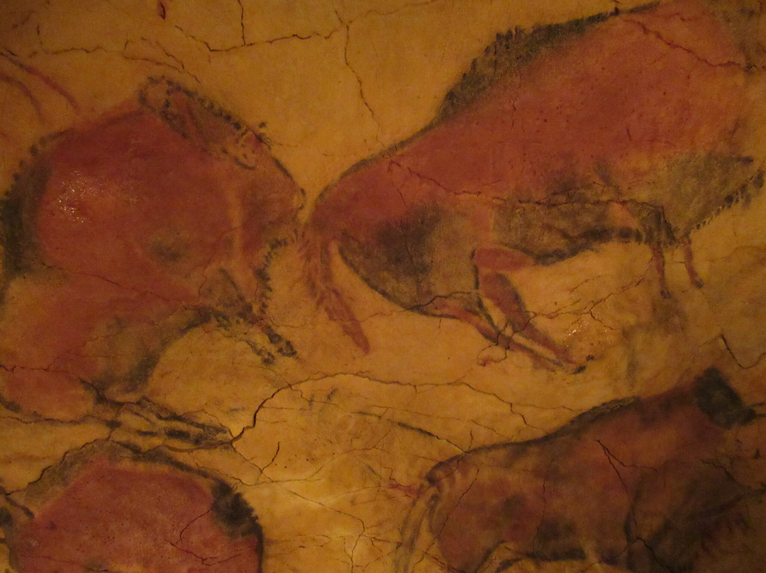 Museo de Altamira-海边的散提亚拿必去景点