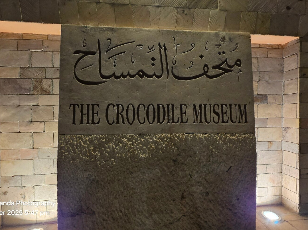 Crocodile Museum-Kom Ombo必去景点