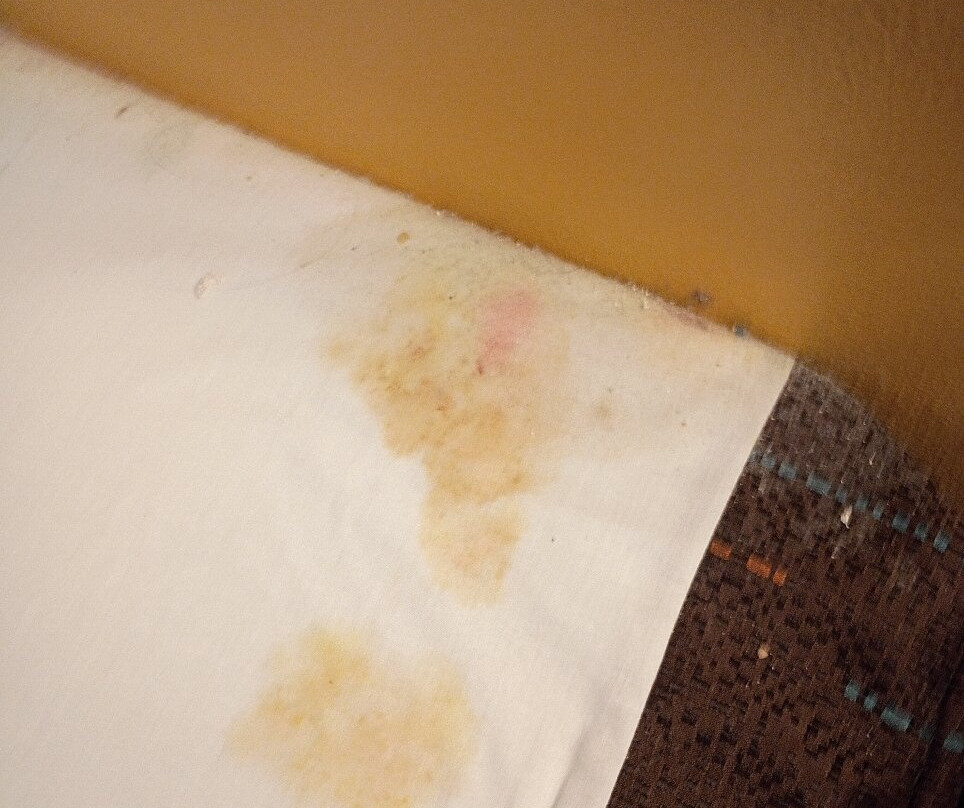 Fairfield by Marriott Inn & Suites Palm Coast I-95主图