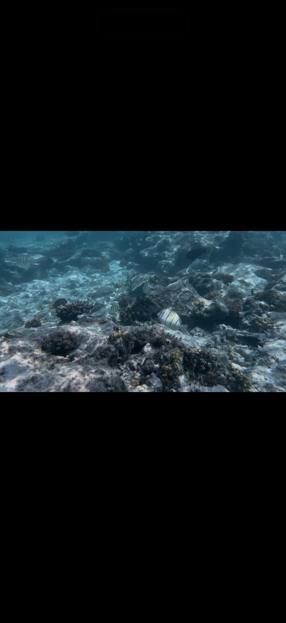 Cora Cora Maldives-官方