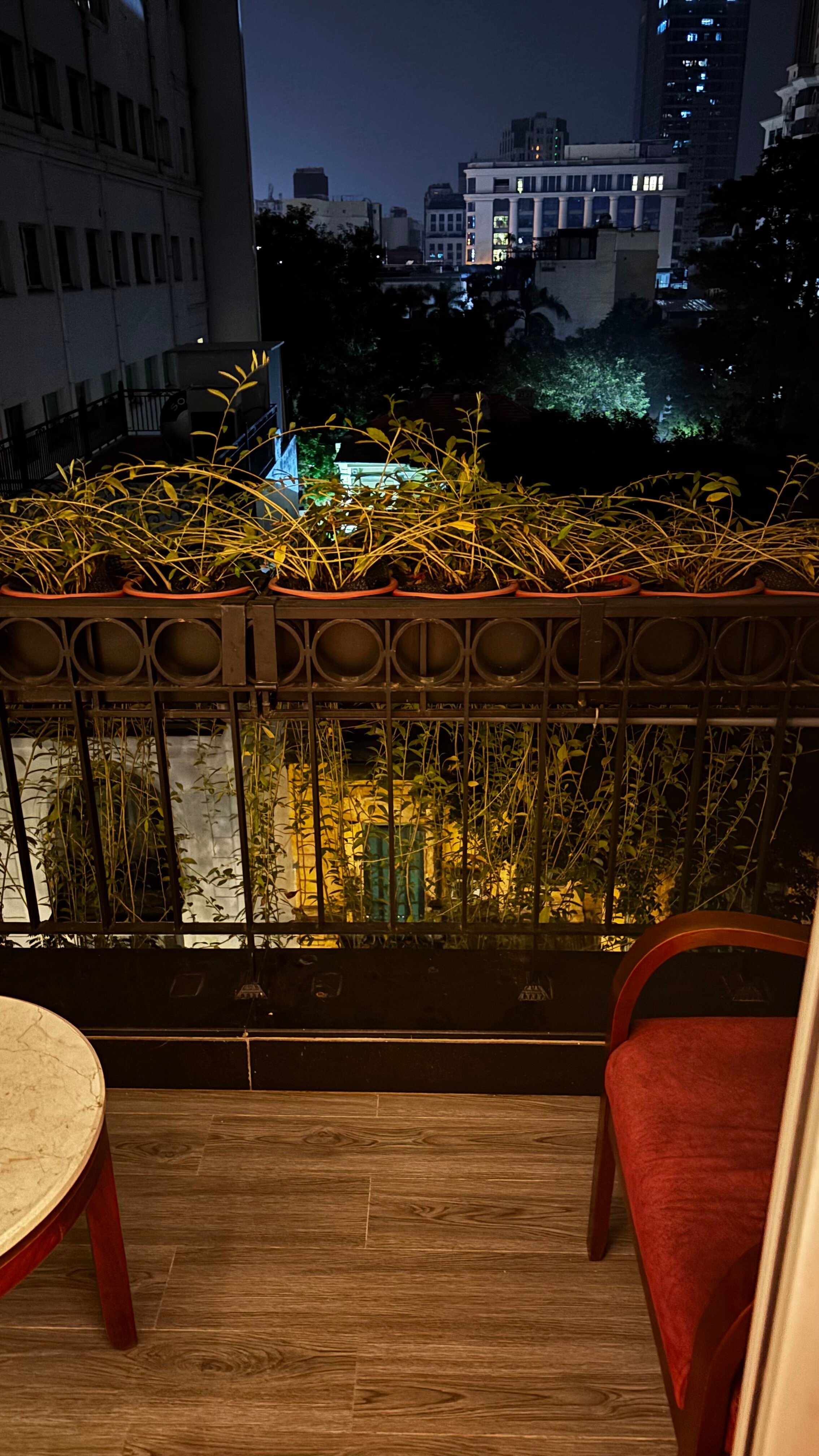 针叶树精品酒店-官方