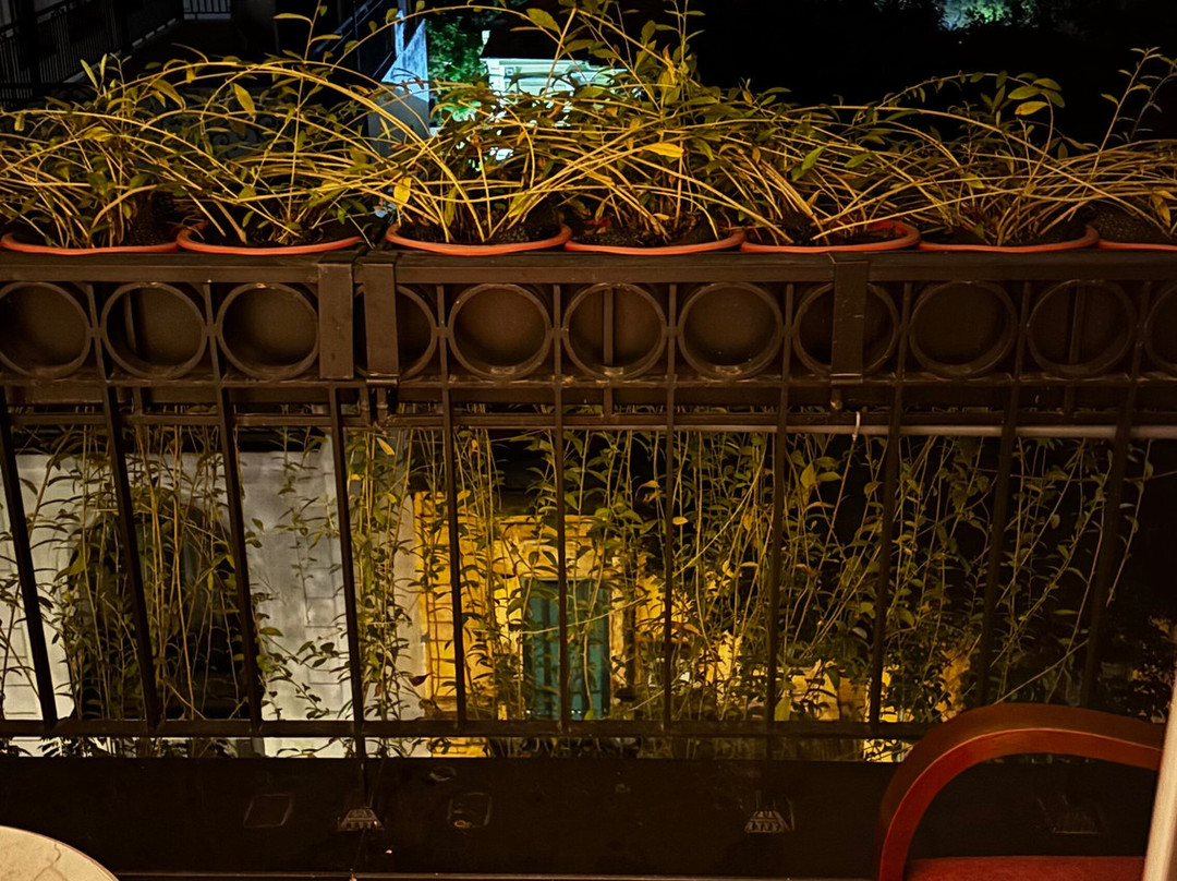 针叶树精品酒店主图