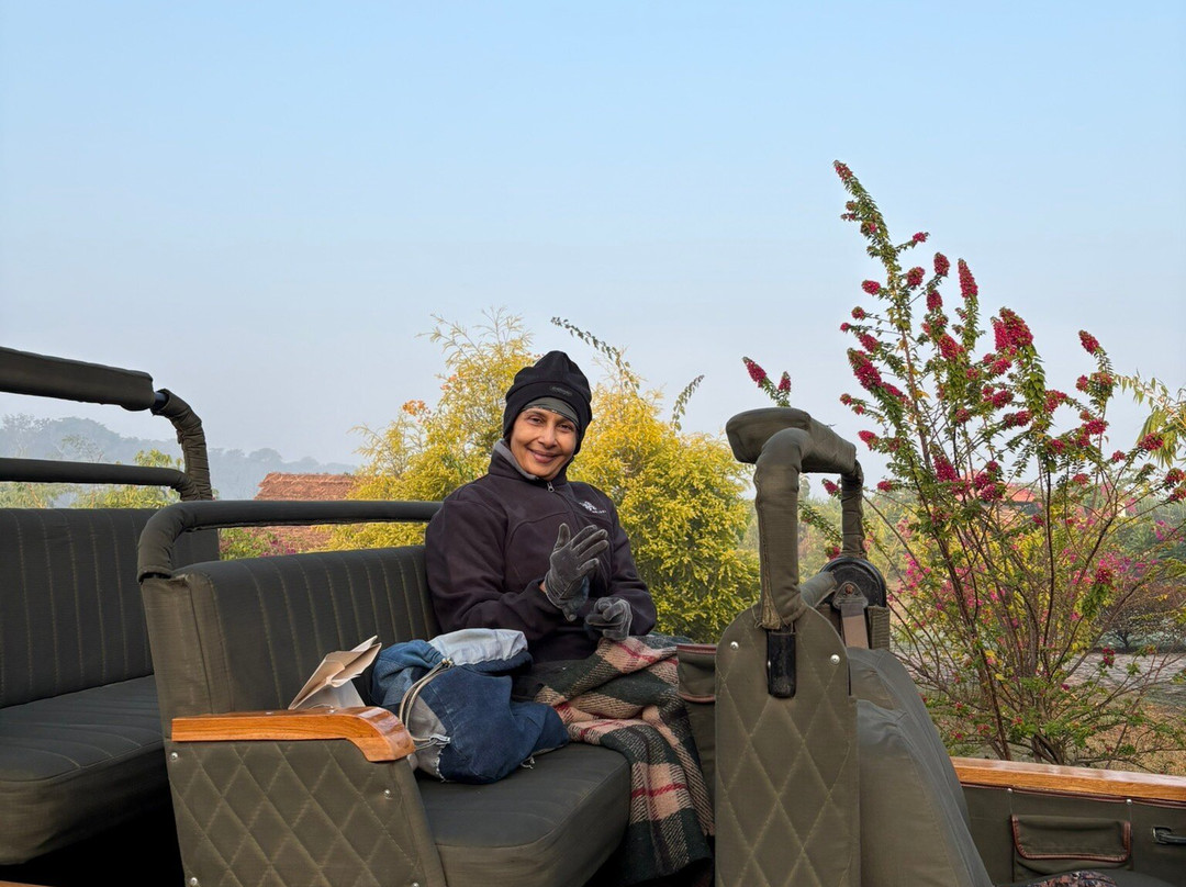 Camp TigerLily主图