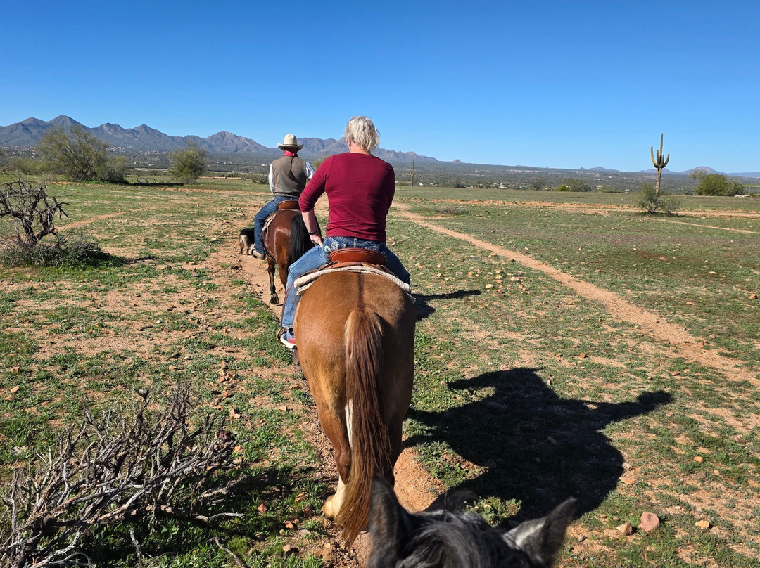 Fort McDowell Adventures-亚利桑那中心必去景点