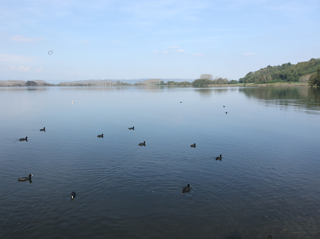 Parco Naturale del Lago di Candia-Candia Canavese必去景点