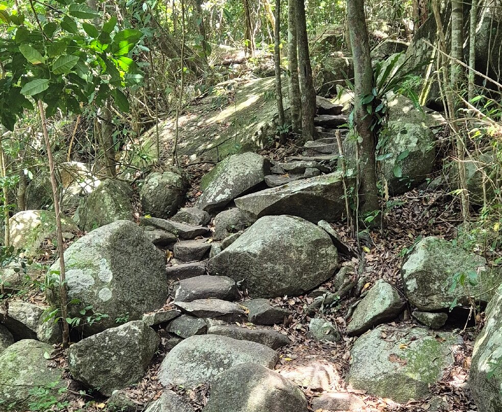 Fitzroy Island National Park-菲茨罗伊岛必去景点