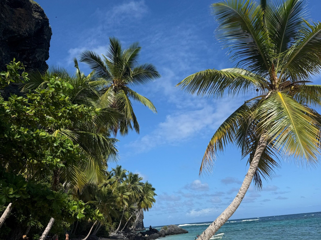 Peninsula Tours Las Terrenas-拉斯特拉纳斯必去景点