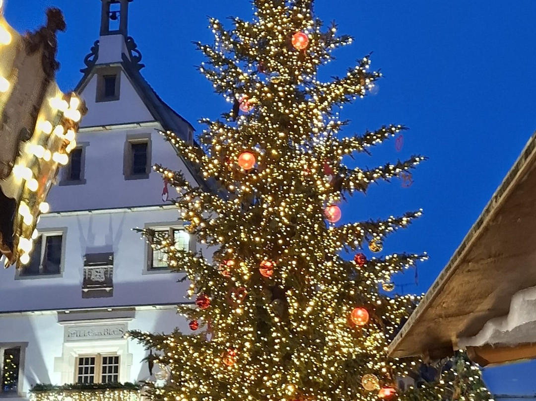 Les Chambres d'Hôtes du Beau Regard主图