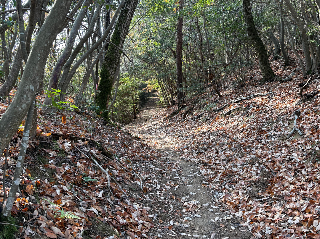 Hiromine Shrine-姬路市必去景点