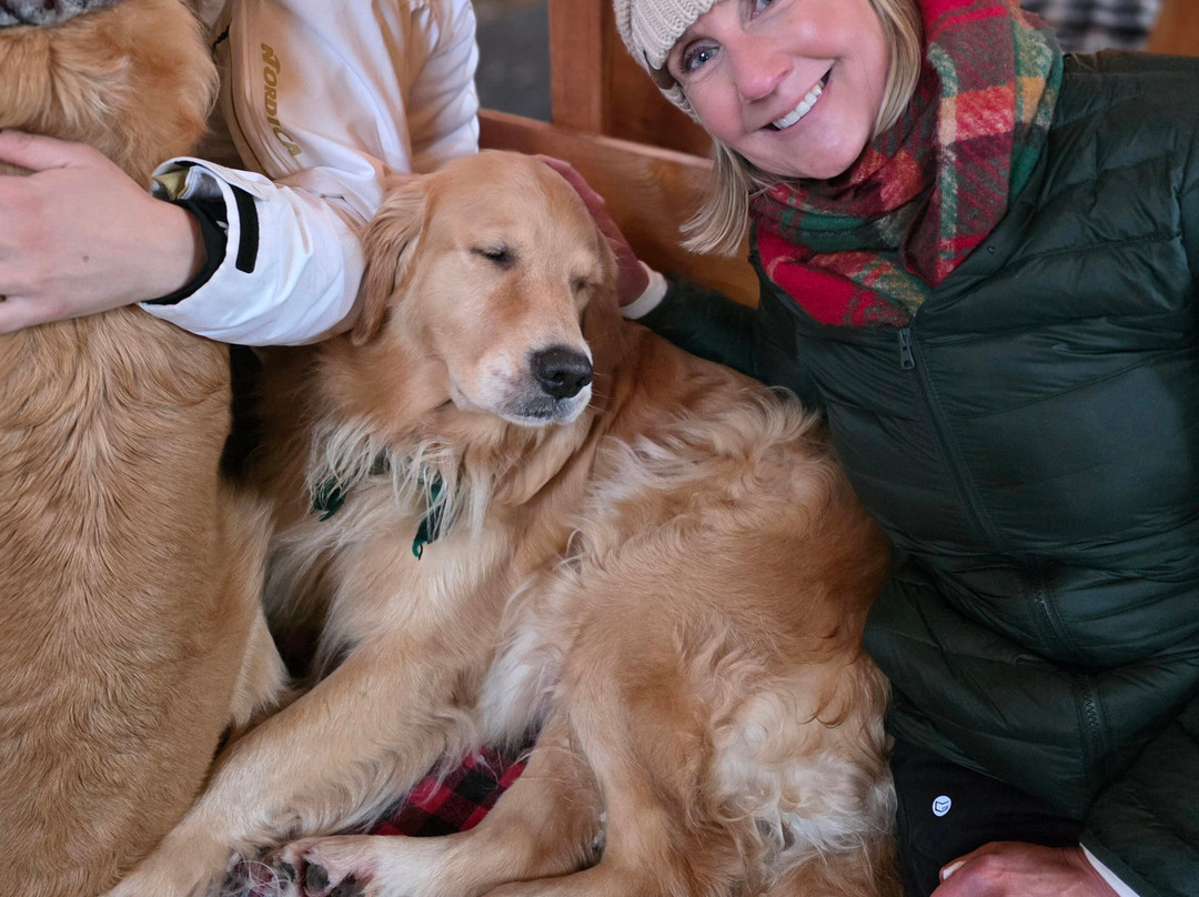 Golden Dog Farm-Jeffersonville必去景点