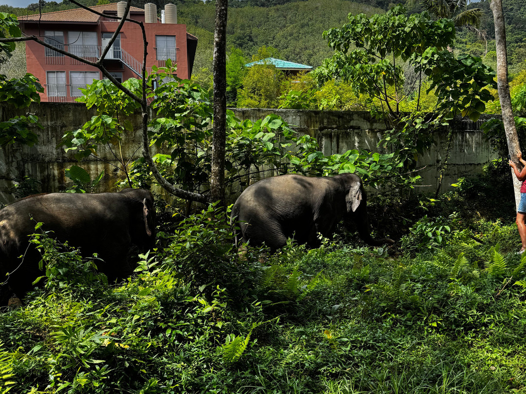 Lanta Island Elephant Lover-Khlong Hin必去景点