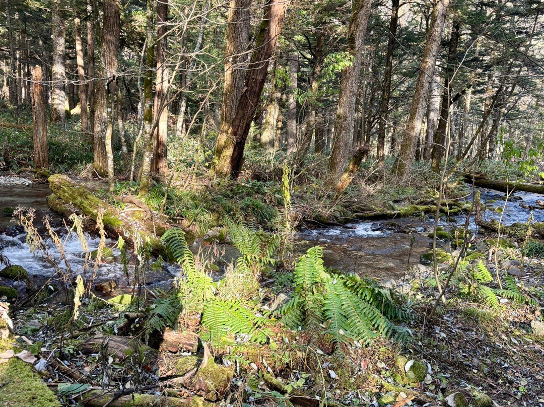 Natureguide Fivesense-松本市必去景点