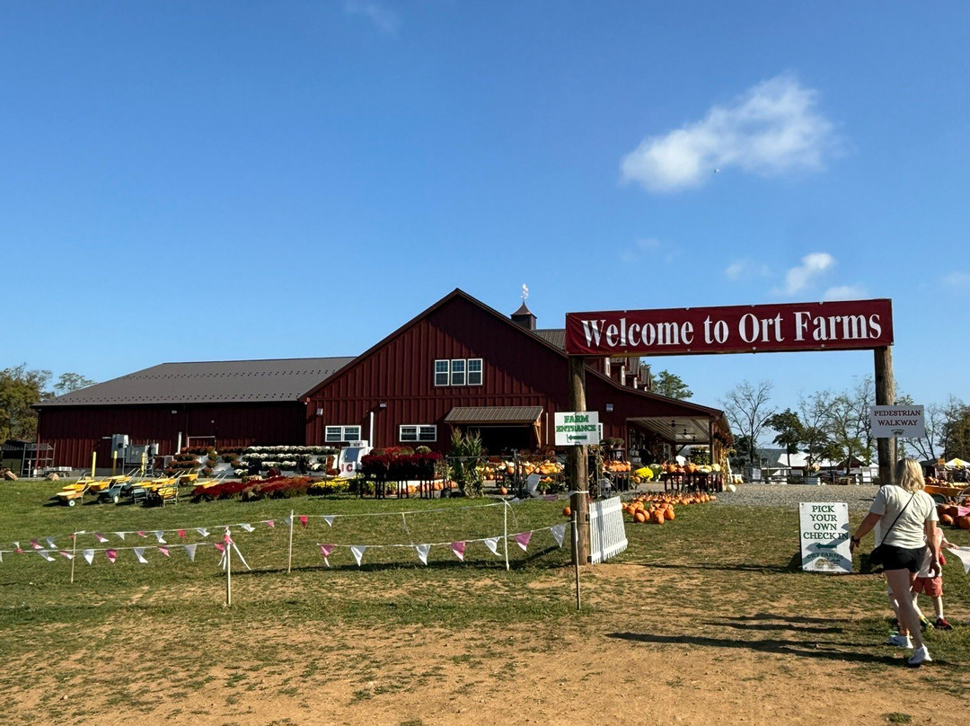 Ort Farms-Long Valley必去景点