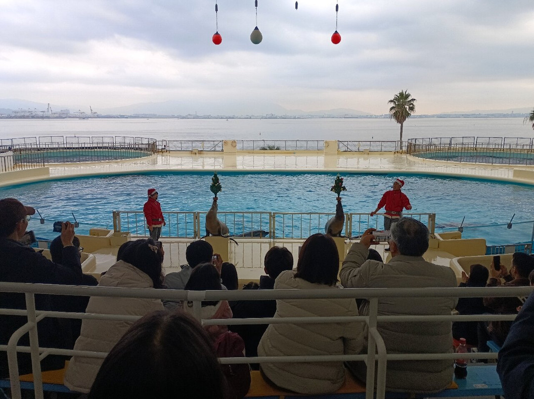 海中道海洋世界-福冈市必去景点