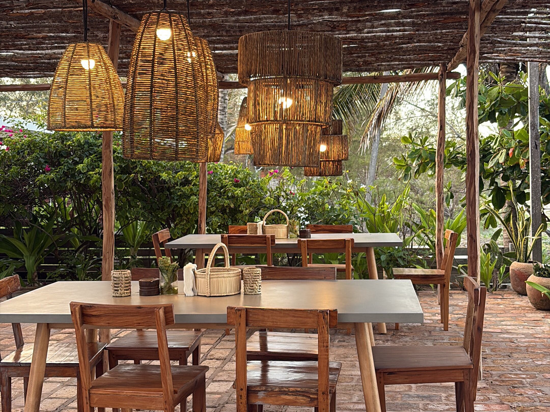 Liquid Dive Adventures-托佛必去景点