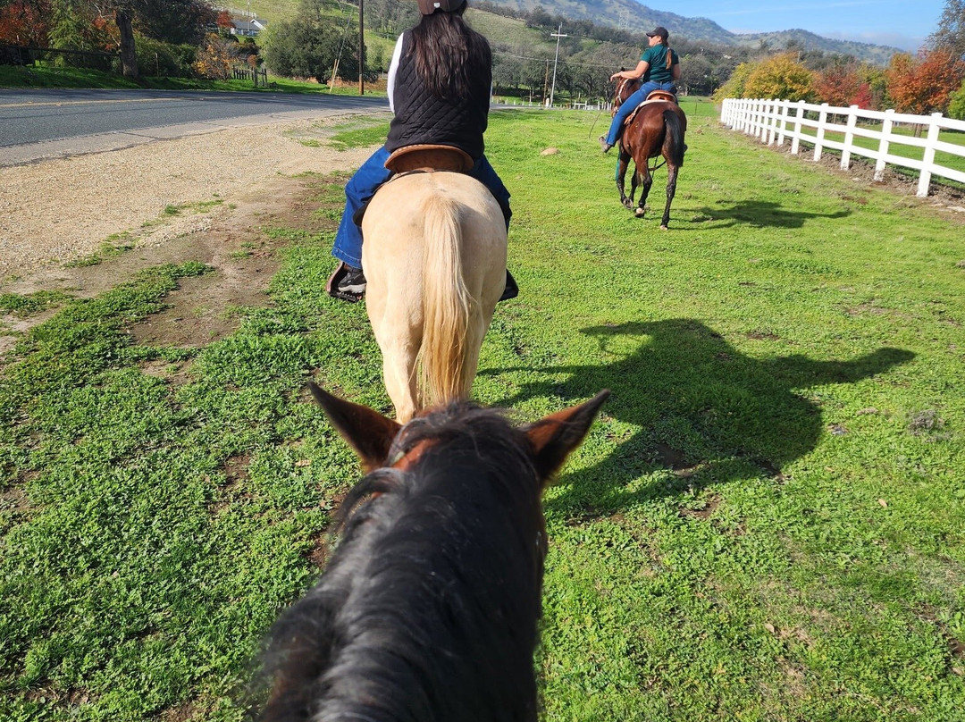 Wonder Valley Ranch Resort主图