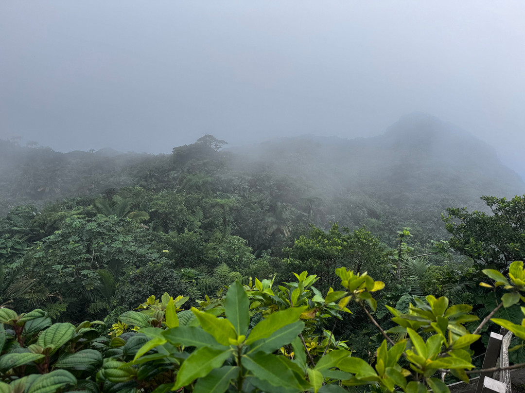 Mount Scenery-Windwardside必去景点