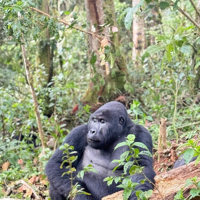 Encounter Africa Safaris-恩德培必去景点