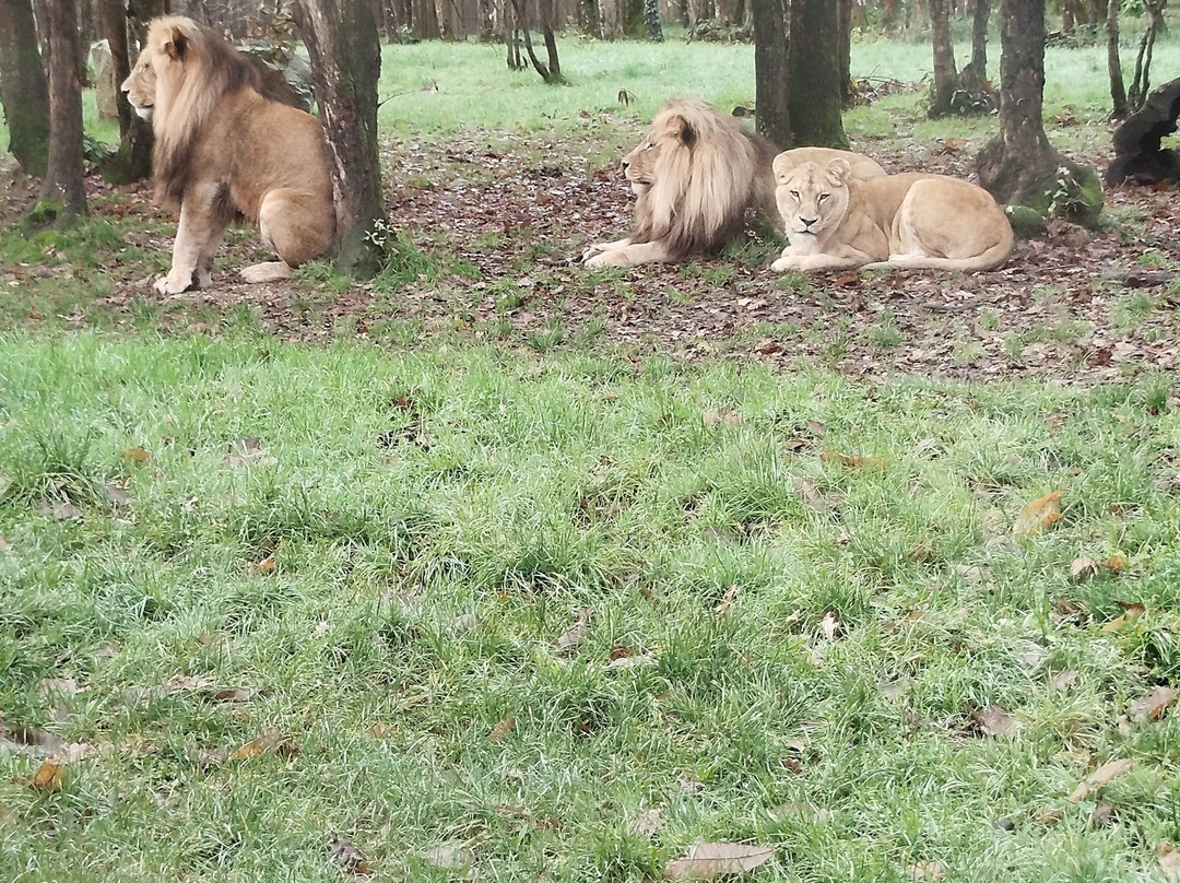 Planète Sauvage-Port-Saint-Pere必去景点