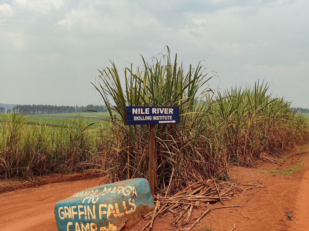 Griffin Falls-金贾必去景点