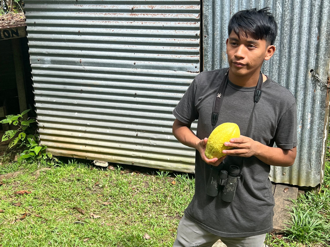 Green Acres Chocolate Farm and Nature Preserve-Cerro Brujo必去景点