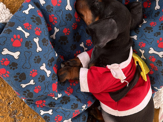 Engenhoca Parque-Aquiraz必去景点