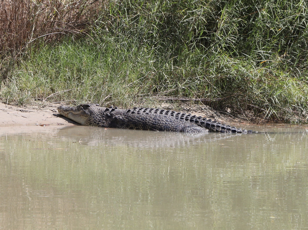 Guluyambi Cultural Cruise-卡卡杜国家公园必去景点