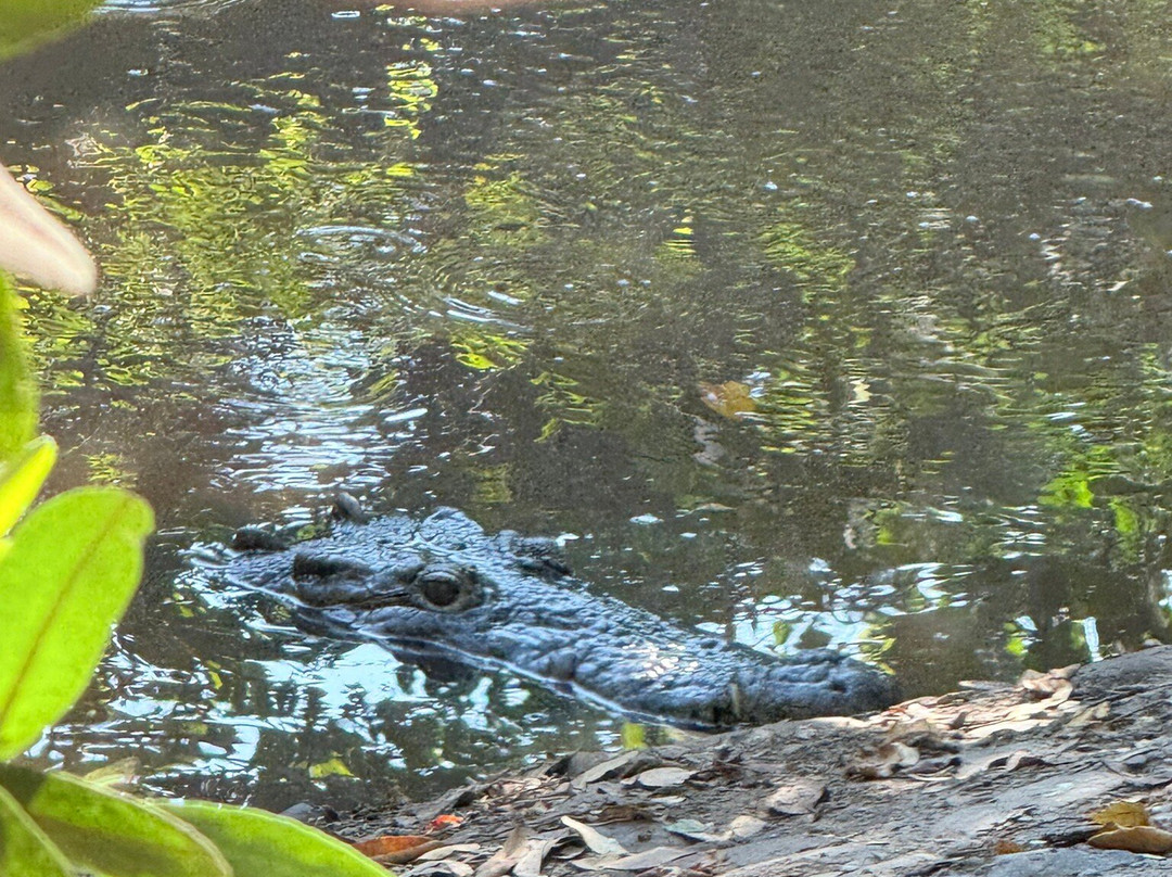 Ciclopista de Ixtapa-印坦巴/芝华塔尼欧必去景点