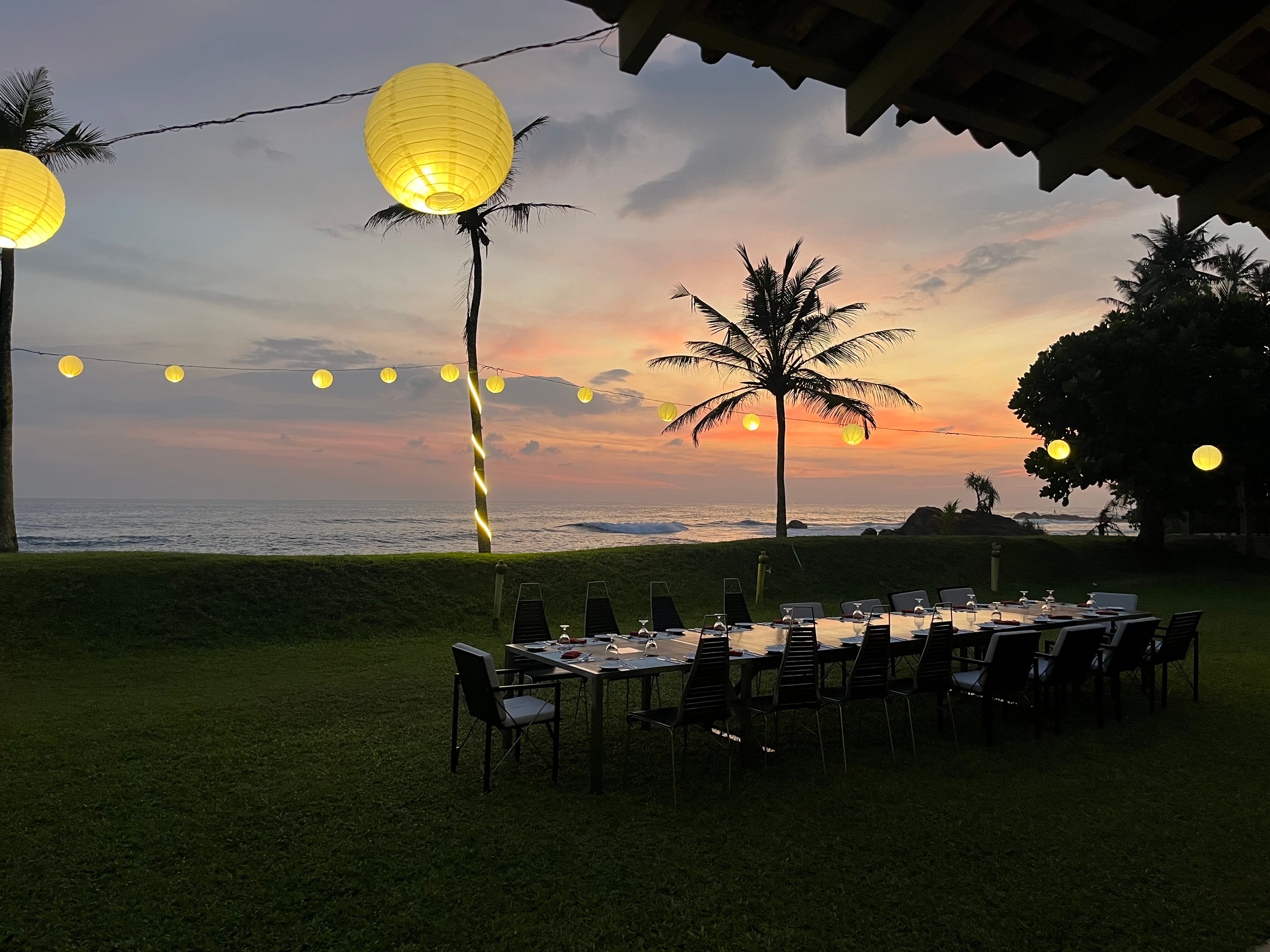 树的弗兰吉帕尼酒店-官方