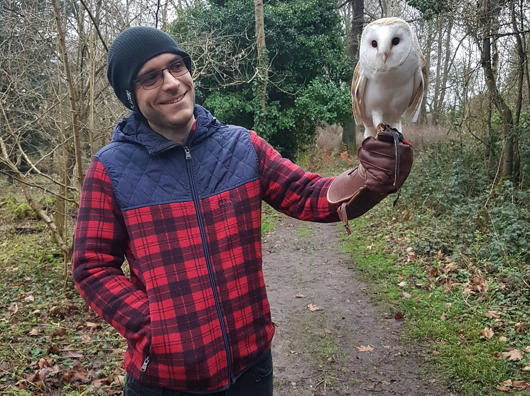 Hampshire Hawk Walks-Alton必去景点
